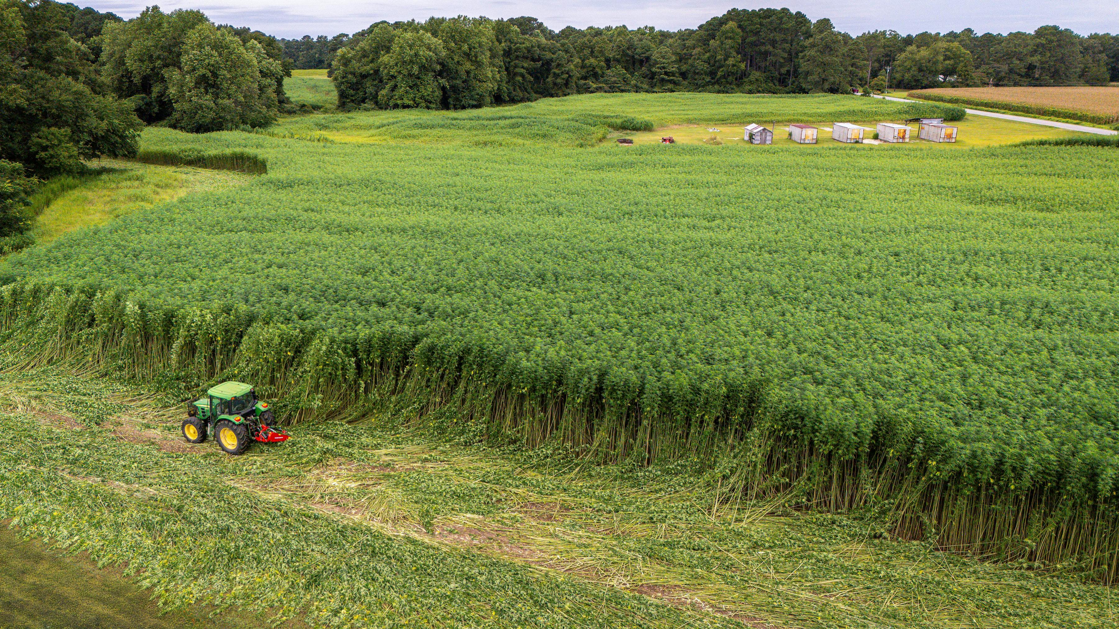 Drone scan perspective of large-scale agriculture fields